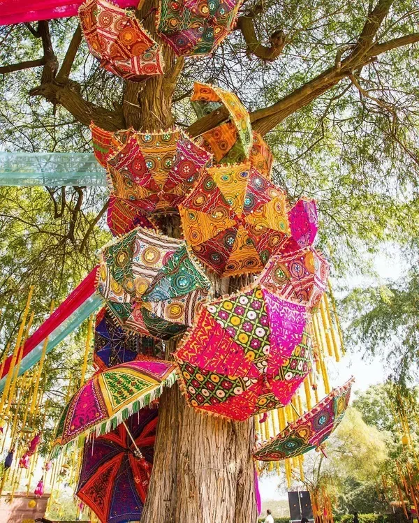 Accomplished Verified Grooms