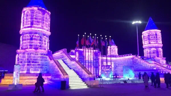 The Delhi Premium: What the City Demands of Matrimonial Profiles