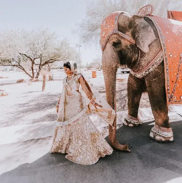 Brahmin Gaud Families in a Gujarati City