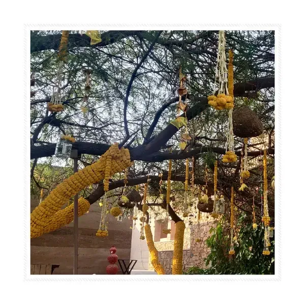 What Ahmadnagar Families Seek in a Match