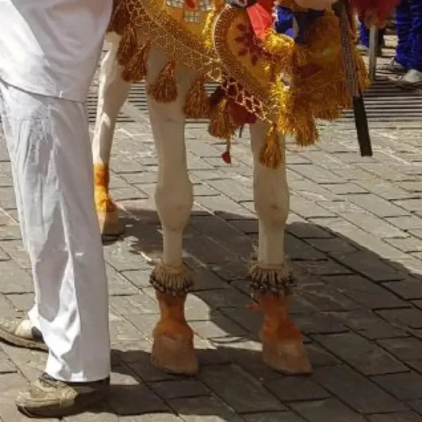 Marriage Traditions and Ceremonies