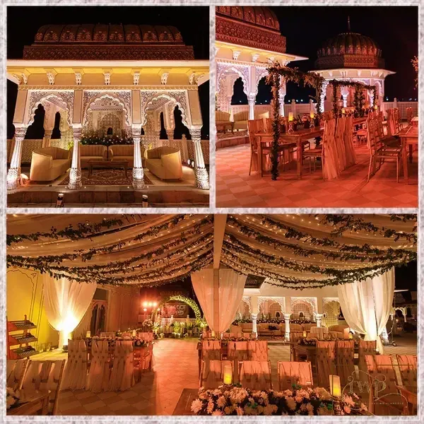 Where Roots Meet Romance