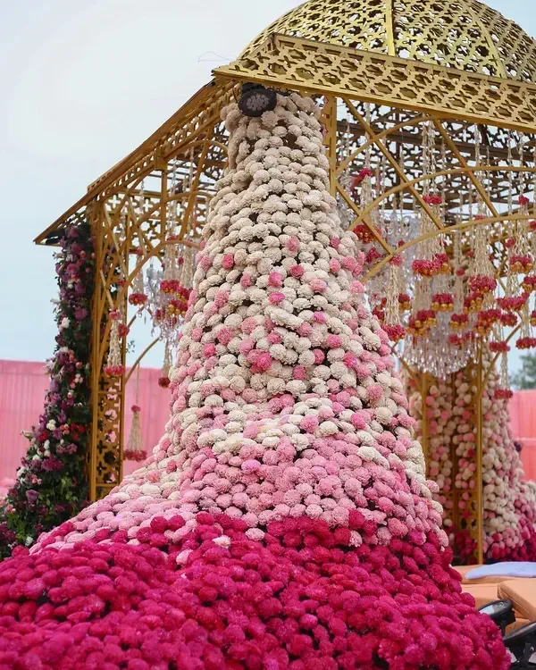 The Satara Maratha's Matrimonial World