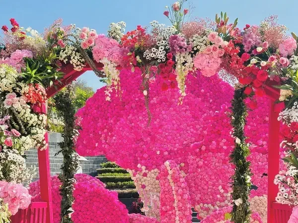 Meerut's OBC Wedding Traditions