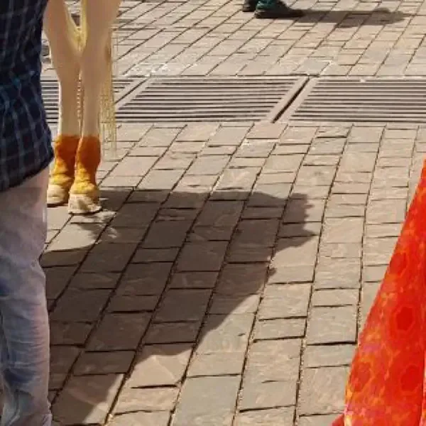 Chhattisgarhi Hindu Marriage Traditions