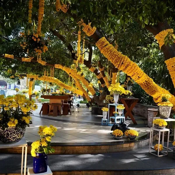 How Dehradun Shapes the Marriage Search