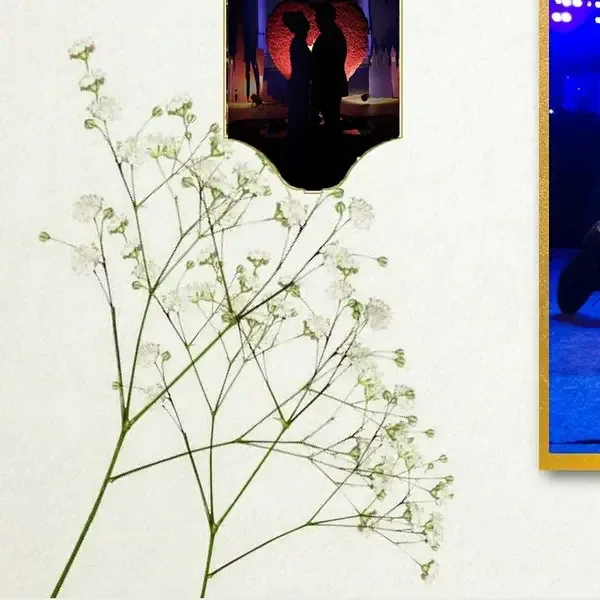Baroda's Hindu Marriage Traditions