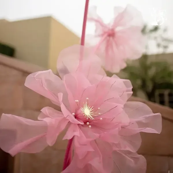The Marriage Market in Chennai – Where Tradition Meets Technology